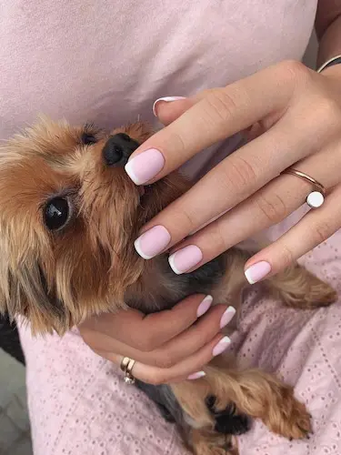 Nagelstudio Wien – Kundin mit kleinem Welpen zeigt ihre neu gestalteten Gelnägel